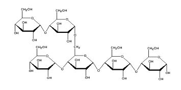 sugar molecule