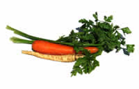 carrot