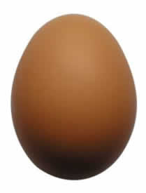 egg