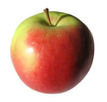 healthy snacks