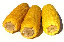 corn on the cob