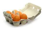 eggs